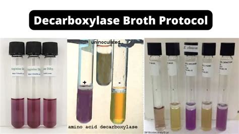 Decarboxylase Broth Protocol .
